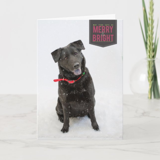 Helgdagskort Helgkort (Framsida)