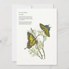 Helgdagskort Julkort