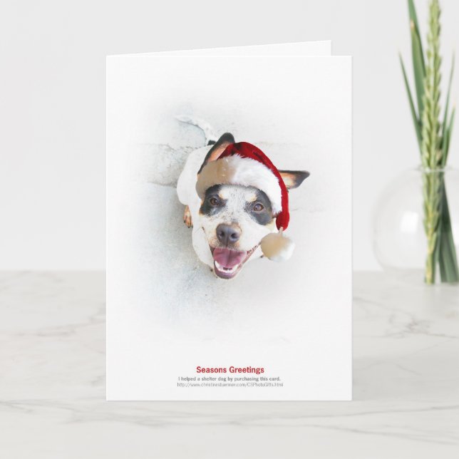 Helgdagskyddhund Helgkort (Framsida)
