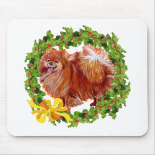 Helgpomeranian Musmatta