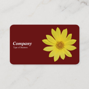 Helianthus 'Lemon Queen' Solros - Mörk Red Visitkort