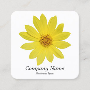 Helianthus 'Lemon Queen' Solros - White Fyrkantigt Visitkort