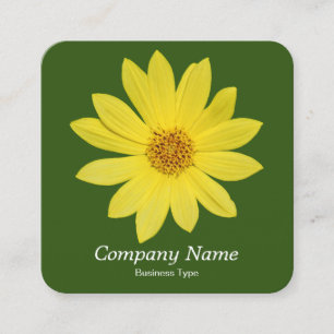 Helianthus 'Lemon Queen' Sunblomma - Forest Grönt Fyrkantigt Visitkort