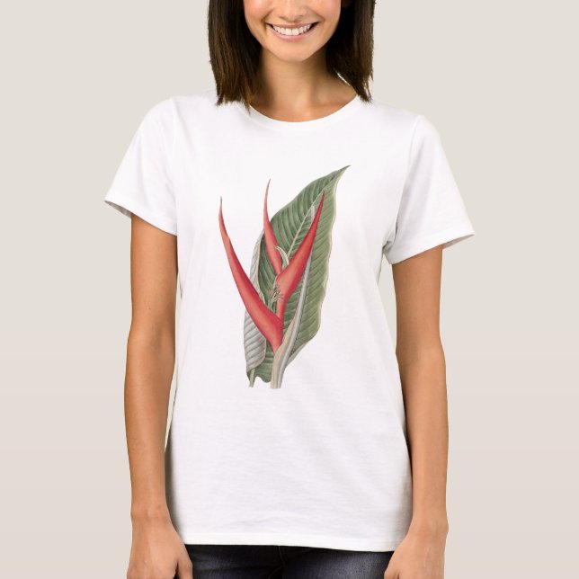 Heliconia 1800s Vintage Botanical T-Shirt (Framsida)