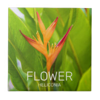Heliconia Flowers Botanical Plant Garden Design