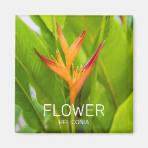 Heliconia Flowers Botanical Plant Garden Design