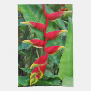 Heliconia kökshandduk