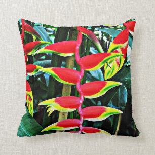 Heliconia Kudde