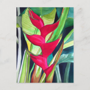 Heliconia Lobster Claw tropisk akvarellblomma Vykort