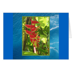 Heliconia rostrata hälsningskort