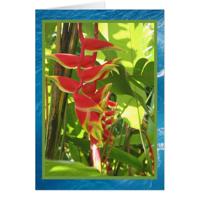 Heliconia rostrata hälsningskort (Framsidan)