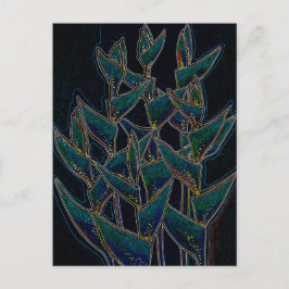Heliconia Rostrata Tropical Flowers Blommigt Black Vykort