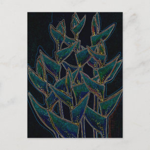 Heliconia Rostrata Tropical Flowers Blommigt Black Vykort