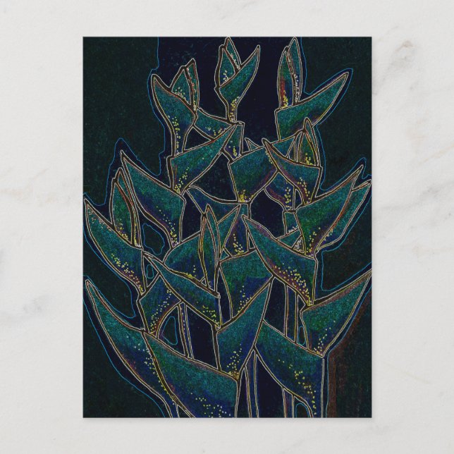 Heliconia Rostrata Tropical Flowers Blommigt Black Vykort (Framsida)