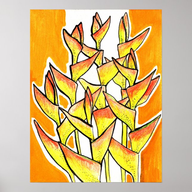 Heliconia Rostrata Tropical Flowers Blommigt Gult Poster (Framsidan)