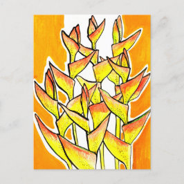 Heliconia Rostrata Tropical Flowers Blommigt Gult Vykort
