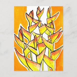 Heliconia Rostrata Tropical Flowers Blommigt Gult Vykort