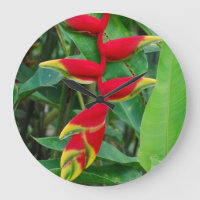 Heliconia
