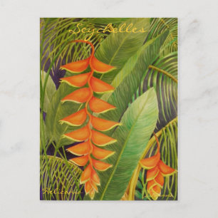 Heliconia Vykort