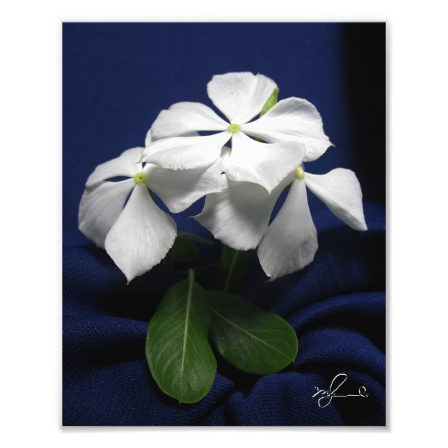 Helicopter Flowers Fototryck (Framsidan)