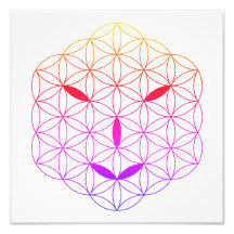 Helig ansikte - Arturan 02, CF-Tr.