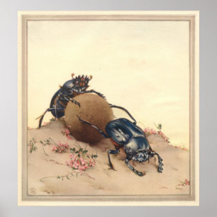 HELIG-BEETLE - illustration av Insekt Bok Poster
