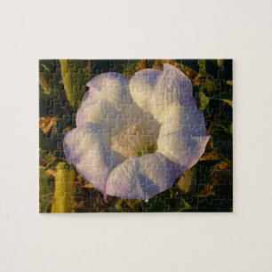 Helig Datura Flower Desert Wildblomma Pussel