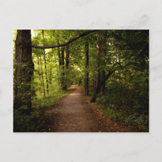 Helig Grove, Palmyra, New York Vykort