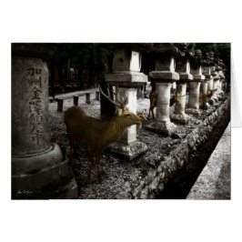 Helig Hjort i Nara Japan Hälsningskort