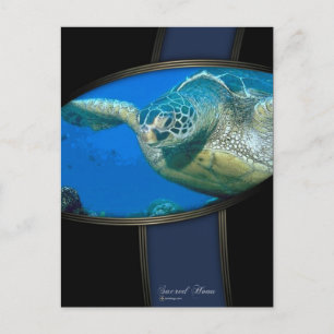 HELIG HONU VYKORT