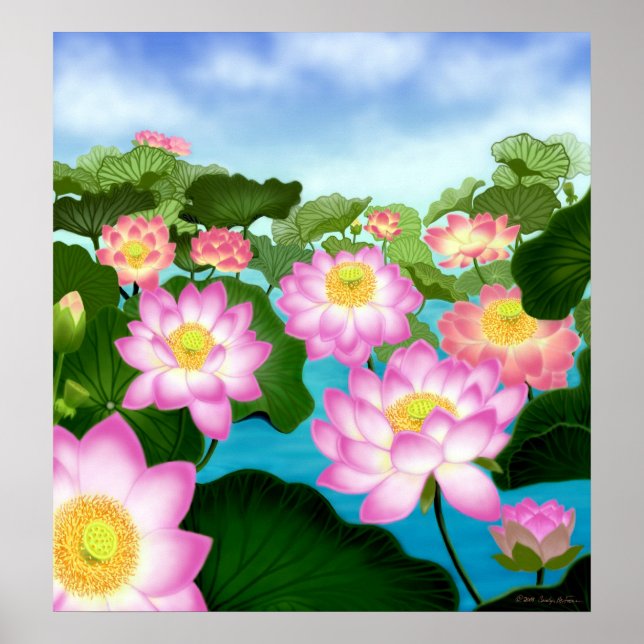 Helig Lotus Flowers Poster (Framsidan)