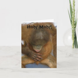 Helig Moly rolig vasektomi Kort