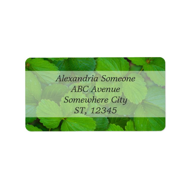 Heliga Basil Tulsi Grönt Mint Löv Adressetikett (Framsidan)