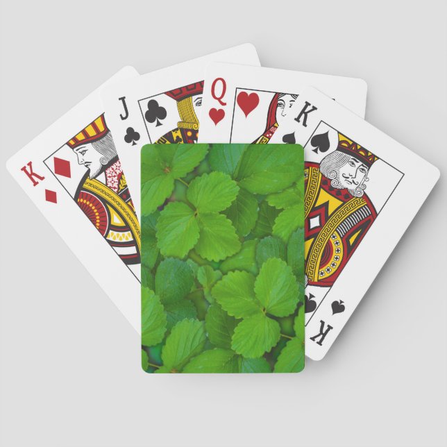 Heliga Basil Tulsi Grönt Mint Löv Kortlek (Baksidan)