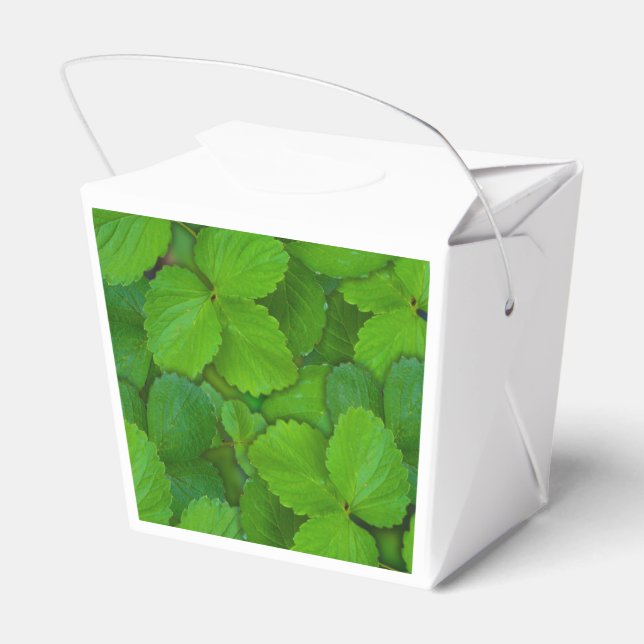 Heliga Basil Tulsi Grönt Mint Löv Presentaskar (Baksidan Sidan)