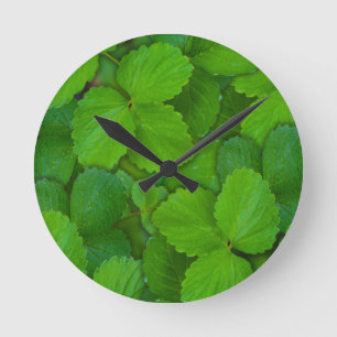 Heliga Basil Tulsi Grönt Mint Löv Rund Klocka