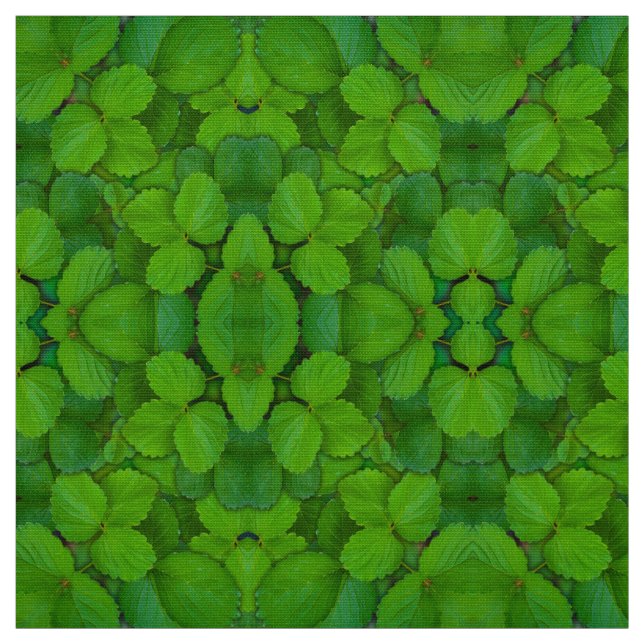 Heliga Basil Tulsi Grönt Mint Löv Tyg (Provkarta)