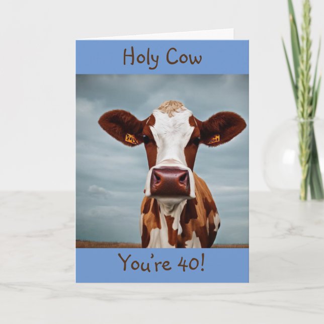 Heliga Cow Du är 40 Kort (Framsida)