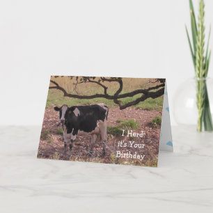 Heliga Cow, du blir gammal, födelsedag  Kort