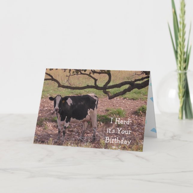 Heliga Cow, du blir gammal, födelsedag Kort (Framsida)
