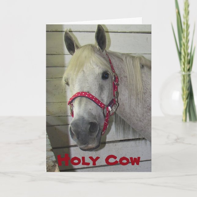 HELIGA COW ***GOD JUL** TILL DIG HELGKORT (Framsida)