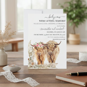 Heliga Cow Highland Bröllop Inbjudningar