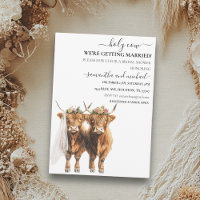 Heliga Cow Highland Möhippa Bröllop