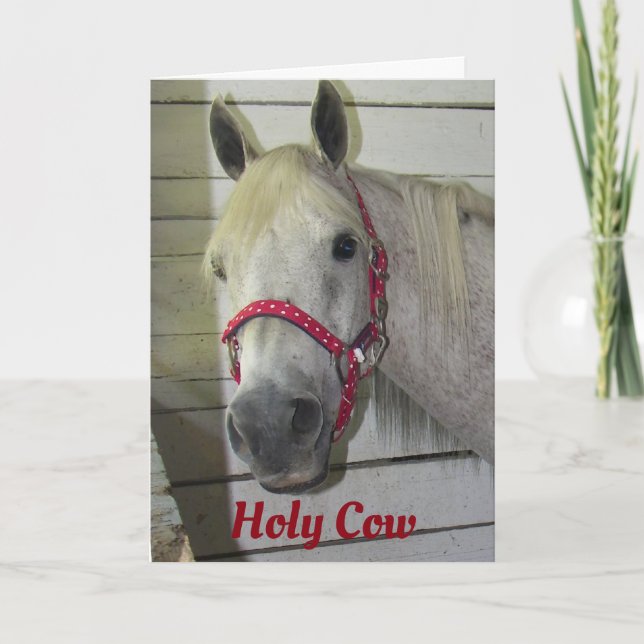*HELIGA COW* HUR GÖR DU DET? *BIRTHDAY COMPLIY* KORT (Framsida)