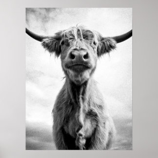 Heliga Cow Mesotint Stil Art-fotografi Poster