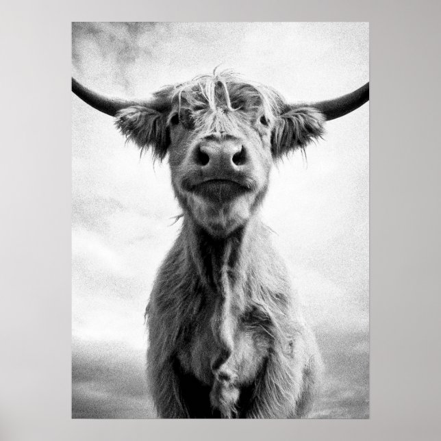 Heliga Cow Mesotint Stil Art-fotografi Poster (Framsidan)