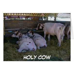 HELIGA COW U JUST TURNED 50 HÄLSNINGSKORT