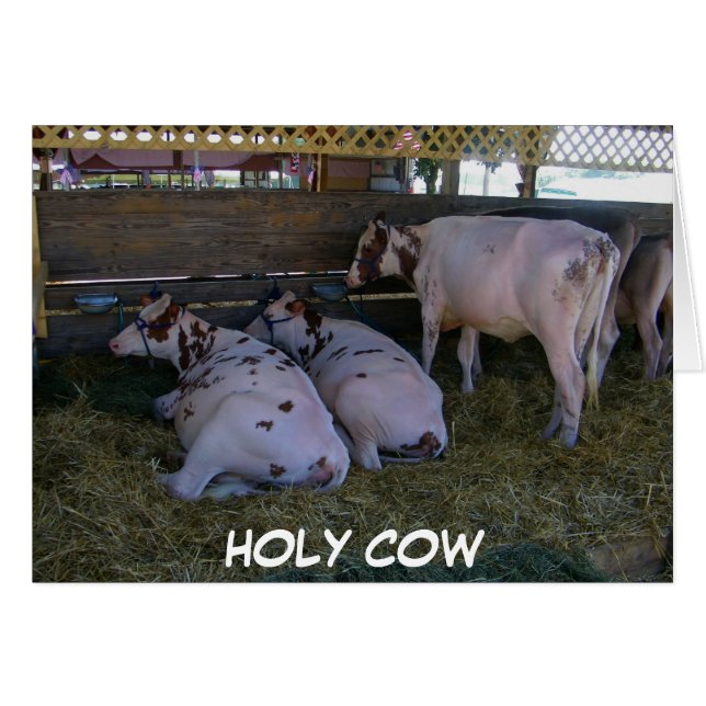 HELIGA COW U JUST TURNED 50 HÄLSNINGSKORT (Framsidan Horizontal)