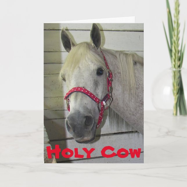 HELIGA COW YOUNG FILLY **50 BIRTHDAY** KORT (Framsida)