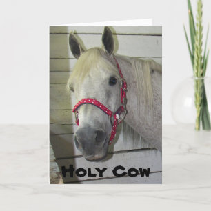 HELIGA COW YOUNG FULLT ***GRATTIS PÅ FÖDELSEDAGEN* KORT